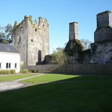 Mews 3 Bed By Trident Homes * Castlemartyr