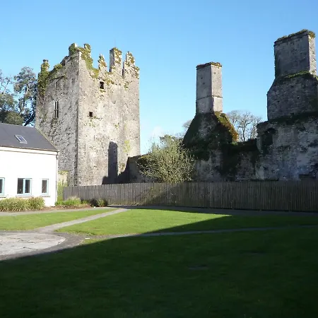 Mews 3 Bed By Trident Homes * Castlemartyr